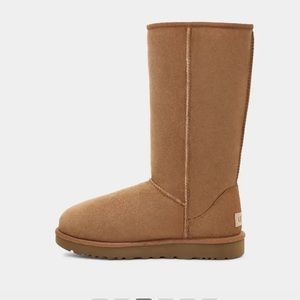 NWT classic tall II chestnut Uggs size 8